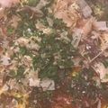 サージタンギアン's cooksnap of when they made モチモチ！米粉の生地の広島焼き！.