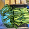 大阪のちゃーちゃん's cooksnap of when they made 厚揚げと小松菜の煮浸し.