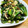 クック4GVAPY☆'s cooksnap of when they made ほうれん草と茗荷の和風ナムル.