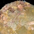 ゆき☆新米主婦's cooksnap of when they made ロティサリーチキンで作る絶品スープ.
