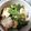 kyokoha's cooksnap of when they made 豆腐のオイスター炒め.
