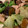 cook☆mi's cooksnap of when they made 簡単・本格！豚バラと茄子の野菜炒め.