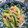 YumiYmi's cooksnap of when they made きゅうりとツナの和え物.