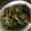 Yokchina's cooksnap of when they made 肉なし簡単　茄子と厚揚げのオイスター炒め.
