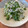 マロン♪♪♪'s cooksnap of when they made しらす・かいわれのごま油和え.