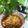 tottokoc's cooksnap of when they made スパイスで作るひよこ豆とひき肉のカレー.