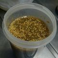 ナポリタンX's cooksnap of when they made 梅酒の梅は、リサイクル！梅ドレッシング.