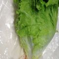 おくみの's cooksnap of when they made ☆改☆サニーレタスの保存方法.