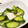 ma2kaboch's cooksnap of when they made あと一品＊きゅうりと蕪のお漬け物.