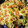 miyam315's cooksnap of when they made ∮ごま香る♬切干と白滝の中華風サラダ∮.