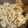 Victoriay's cooksnap of when they made キヌアをお鍋と炊飯器で炊く：覚え書.