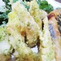 ひっこ's cooksnap of when they made タケノコの天ぷら２種類.