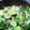 クック61RW5R☆'s cooksnap of when they made 超簡単！やみつき胡瓜　アレンジ.