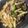 マヨミ's cooksnap of when they made 一番簡単★チンジャオロース.