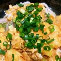 みーちーこー's cooksnap of when they made ＊鶏胸肉の卵とじうどん.
