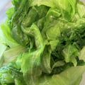 マールマル's cooksnap of when they made レタスの簡単お浸し.