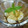 pir♥mi's cooksnap of when they made とろりんちょ♪黒蜜きなこ白玉♪.