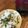 真さん's cooksnap of when they made たらの芽の混ぜご飯②.