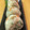 Etsu☆ko's cooksnap of when they made にんじんとちりめんの炊き込みご飯.