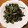 52te34se's cooksnap of when they made こごみのごま和え.