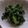 まゆみきママ's cooksnap of when they made 菜の花の麺つゆお浸し.