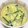 もぐ・ω・くま's cooksnap of when they made にらともやしの中華風スープ.