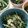 クックHPXE83☆'s cooksnap of when they made 簡単⭐水菜と豆腐のゴマサラダ.