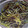 クックYJZ2D2☆'s cooksnap of when they made わらび アク抜き法。おひたし。旬.