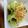 クックH86AFM☆'s cooksnap of when they made 簡単5分☆キャベツの塩昆布おかか和え.