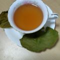 クックYY7R0E☆'s cooksnap of when they made 柿の葉茶.