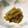 クックWPX41A☆'s cooksnap of when they made 定番　ふきの煮物（下処理から）.