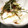 etsukoooo's cooksnap of when they made とろろやっこ.