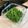 くまくま0108's cooksnap of when they made コシアブラ味噌.