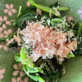 KAORU4649's cooksnap of when they made 簡単！作り置き！ほうれん草お浸し！.