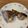amaranthus's cooksnap of when they made ふわ旨!!かんぱちのカマの塩焼き.