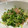 una©️'s cooksnap of when they made お弁当おかず簡単☆カイワレ桜えび合え.