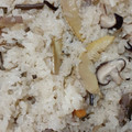 クックNL42LJ☆'s cooksnap of when they made 蒸し器で作る☆山菜おこわ.
