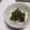 きらり流れ星's cooksnap of when they made 簡単！朝食に新玉ねぎとめかぶのポン酢和え.
