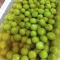 ＴＯＭＯＷＡＴ's cooksnap of when they made 緑の宝石☆えんどう豆の煮浸し.