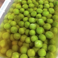 ＴＯＭＯＷＡＴ's cooksnap of when they made 緑の宝石☆えんどう豆の煮浸し.