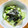 ボブナナ's cooksnap of when they made わかめの代わりにのりできゅうりの酢の物.