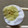 しーくれっと・らいふ's cooksnap of when they made 白だしと生姜で味付け卵　.