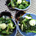 ひっこ's cooksnap of when they made のびるとワカメの辛子味噌和え.
