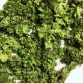 幸せマーチャ's cooksnap of when they made 乾燥パセリ♪～オーブンで大量.