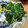 ちゃむとん's cooksnap of when they made ほうれん草とわかめのごまナムル.