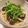 ysakY's cooksnap of when they made なすと鶏むね肉のピリ辛ごまポン酢だれ.