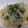 きらり流れ星's cooksnap of when they made 白だしのあっさり和風サラダ.