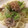 ベティ３'s cooksnap of when they made 子供大好き！めんつゆで簡単焼うどん.