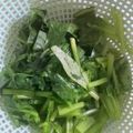 クック4V5HEN☆'s cooksnap of when they made ほうれん草のキッシュ風.