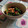 nemuchan's cooksnap of when they made 小松菜のかつお梅和え.